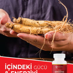 Q Natura Series | Panax Ginseng Vitamin C - 60 Tablet