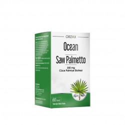 Ocean Saw Palmetto